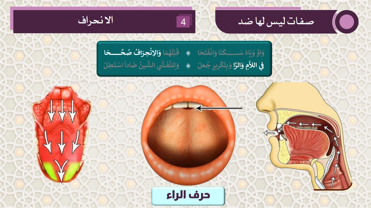 صفات الحروف - الصفحة 19